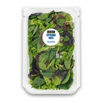 Salad Mix