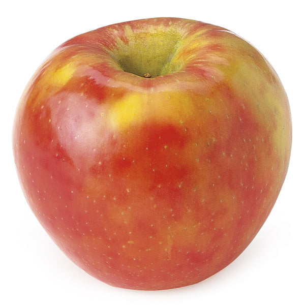 Organic Honeycrisp Apple, 1 count, From Our Farmers